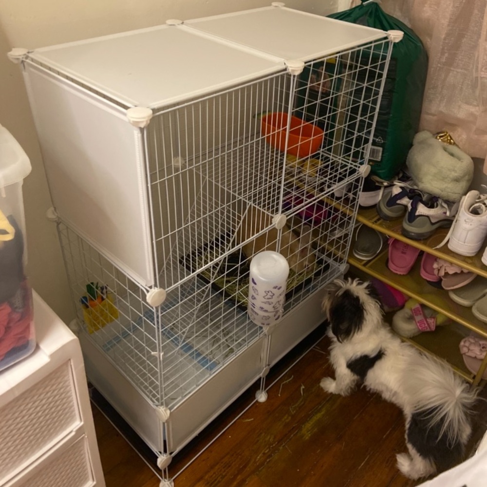 White Small Pet Cage